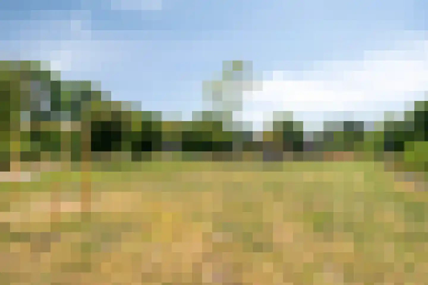 Drumptse Parallelweg 28 Tiel thumbnail 32