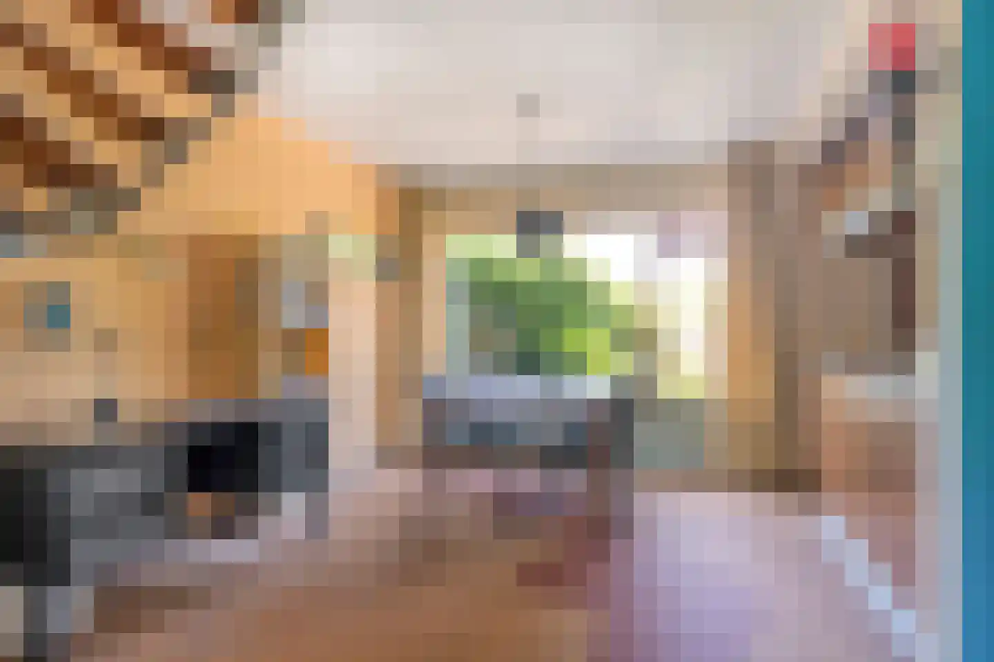 Drumptse Parallelweg 28 Tiel thumbnail 7