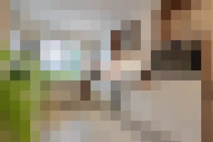 Drumptselaan 13 Tiel thumbnail 12