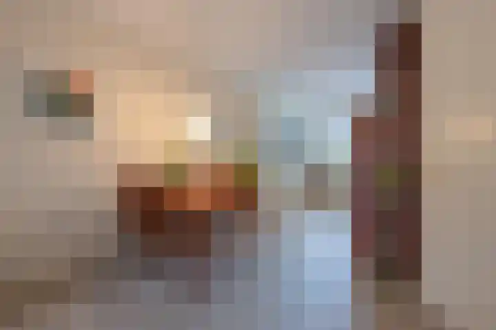 Drumptselaan 13 Tiel thumbnail 18
