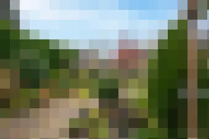 Drumptselaan 13 Tiel thumbnail 23