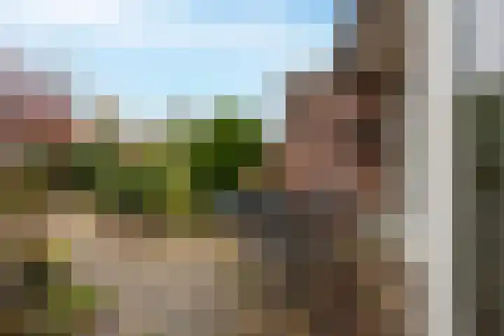 Drumptselaan 13 Tiel thumbnail 25