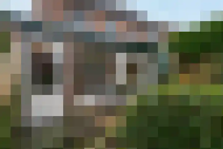 Drumptselaan 13 Tiel thumbnail 26