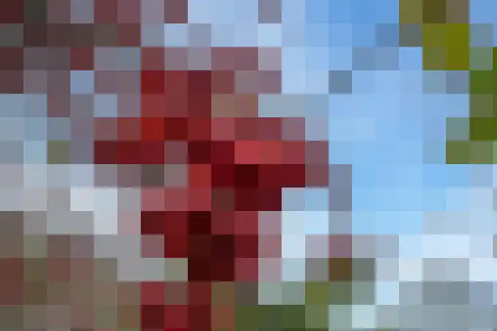 Drumptselaan 13 Tiel thumbnail 27