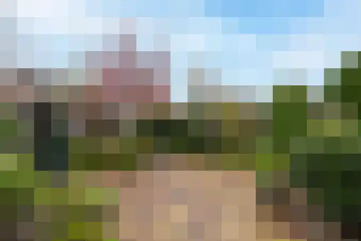 Drumptselaan 13 Tiel thumbnail 28