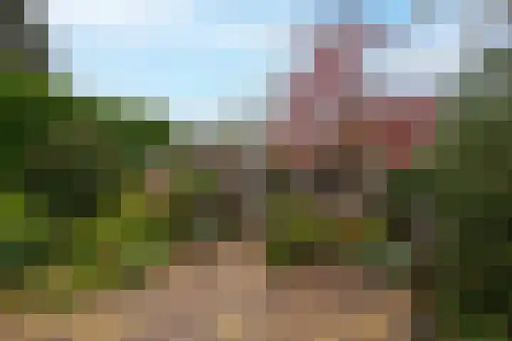 Drumptselaan 13 Tiel thumbnail 29