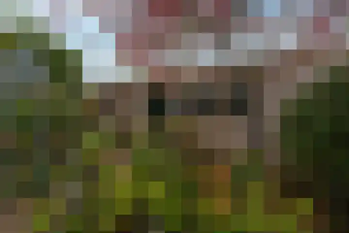 Drumptselaan 13 Tiel thumbnail 30