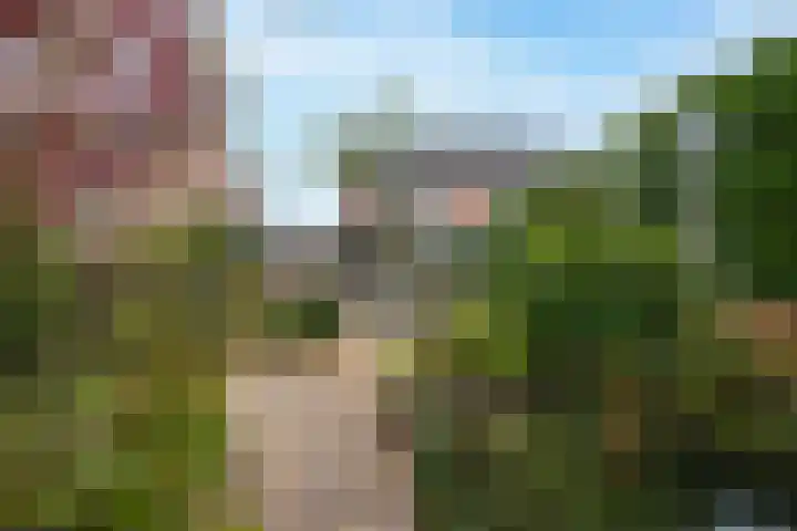 Drumptselaan 13 Tiel thumbnail 32
