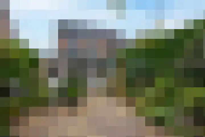 Drumptselaan 13 Tiel thumbnail 33