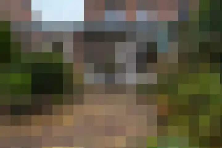 Drumptselaan 13 Tiel thumbnail 35