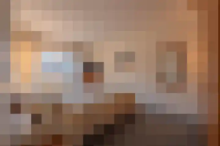 Drumptselaan 13 Tiel thumbnail 38