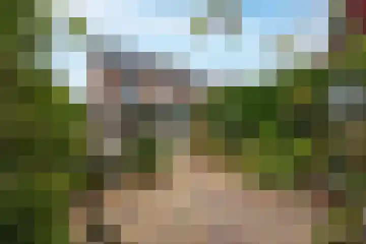 Drumptselaan 13 Tiel thumbnail 4
