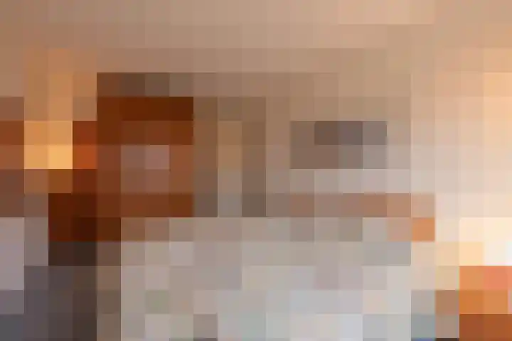 Drumptselaan 13 Tiel thumbnail 40