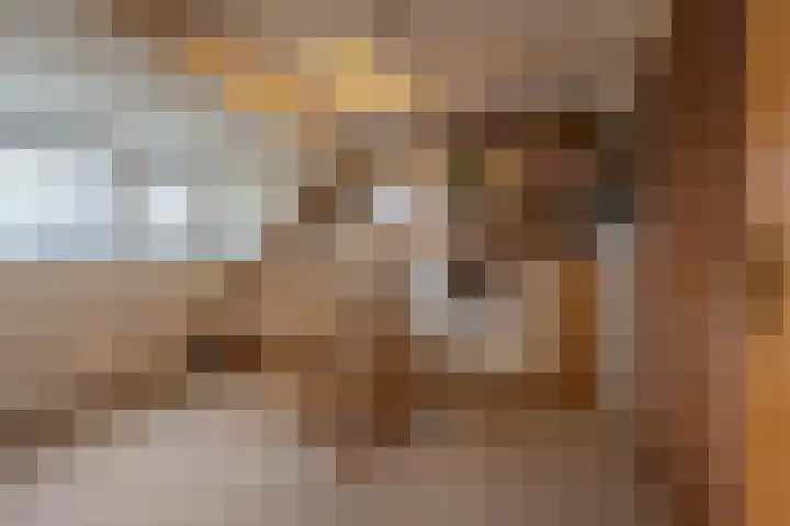 Drumptselaan 13 Tiel thumbnail 46