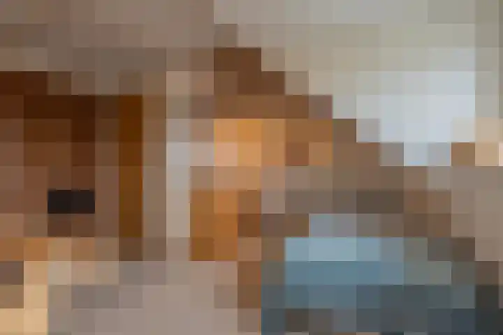 Drumptselaan 13 Tiel thumbnail 47