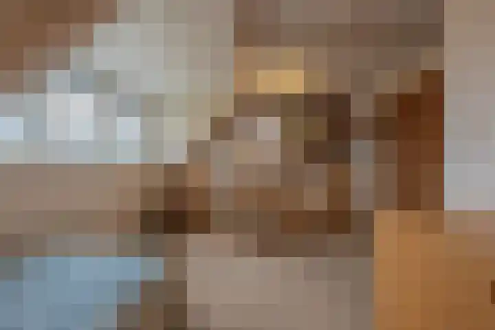 Drumptselaan 13 Tiel thumbnail 48
