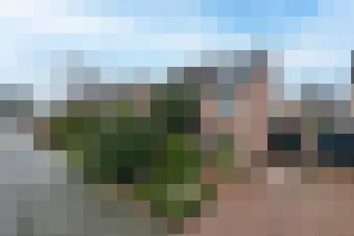 Drumptselaan 13 Tiel thumbnail 49