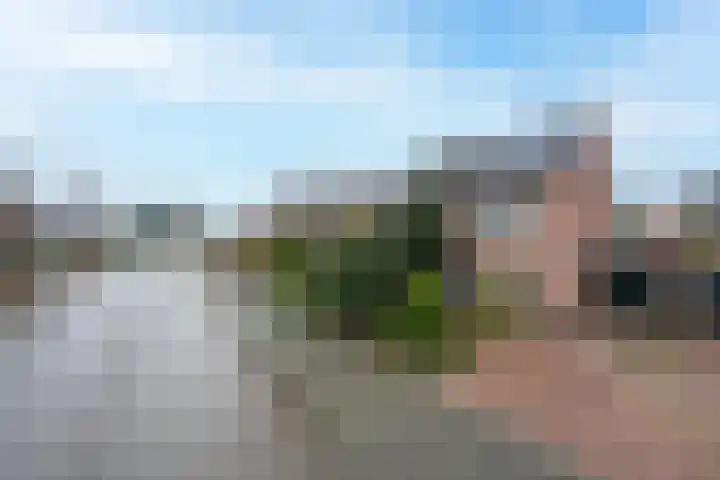 Drumptselaan 13 Tiel thumbnail 5