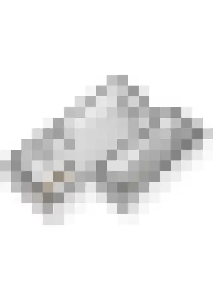 Drumptselaan 13 Tiel thumbnail 51