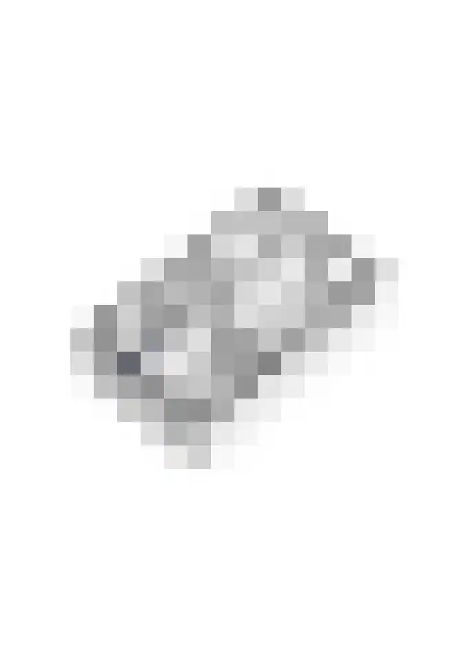 Drumptselaan 13 Tiel thumbnail 53