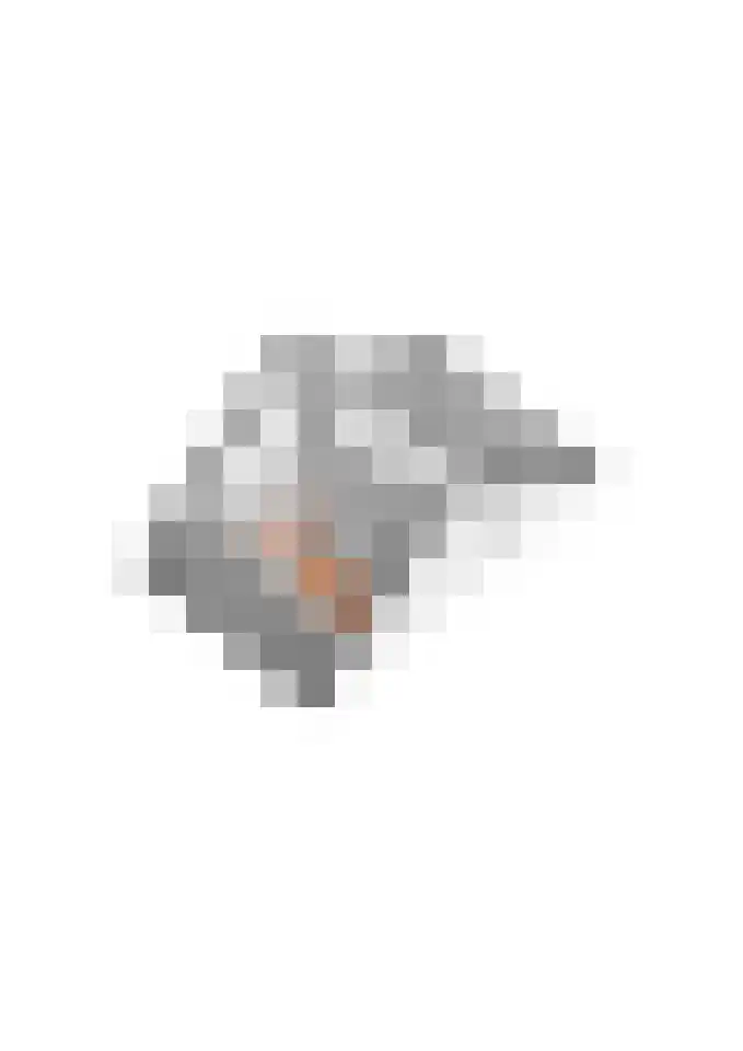 Drumptselaan 13 Tiel thumbnail 55
