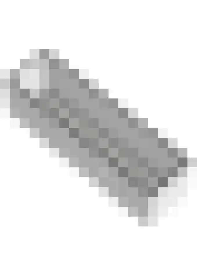 Drumptselaan 13 Tiel thumbnail 57
