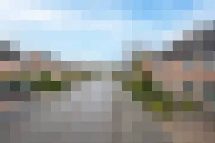 Drumptselaan 13 Tiel thumbnail 6
