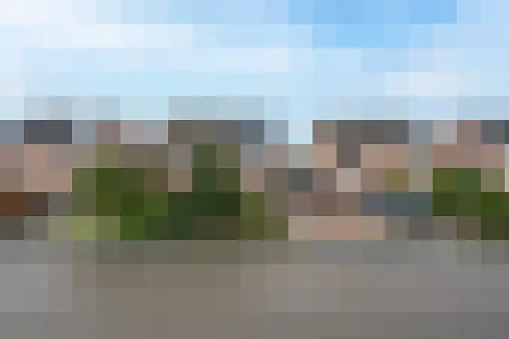 Drumptselaan 13 Tiel thumbnail 7