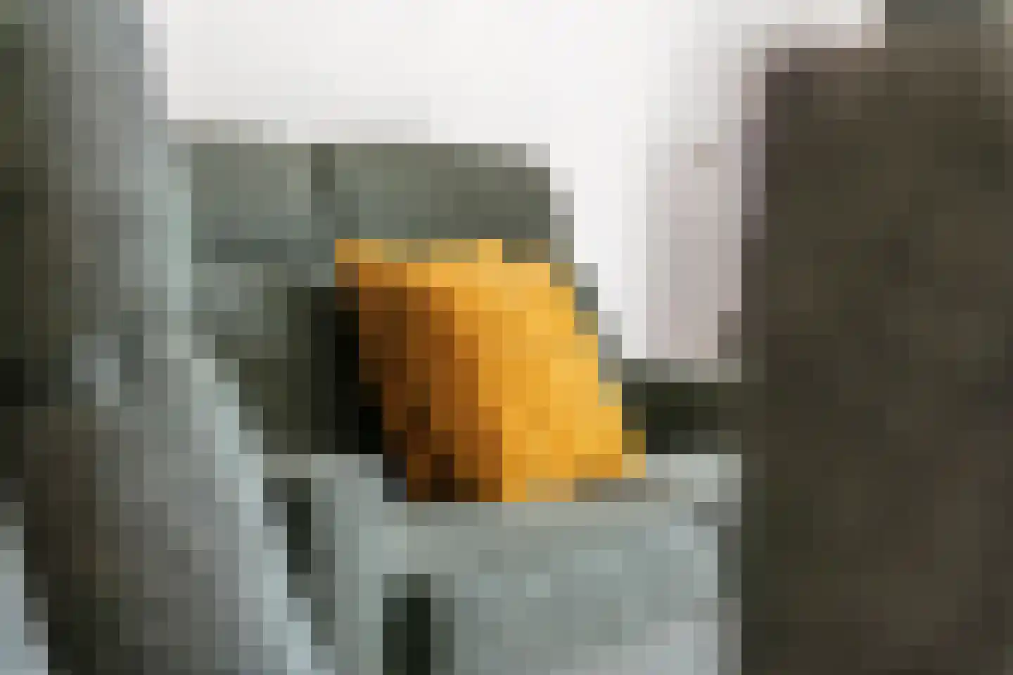 Drumptselaan 16 Tiel thumbnail 11