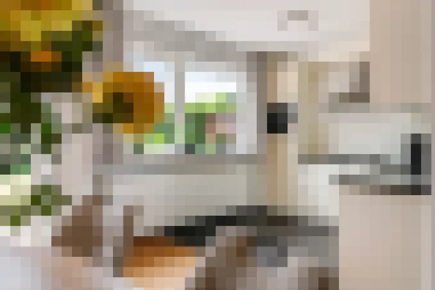 Drumptselaan 16 Tiel thumbnail 17