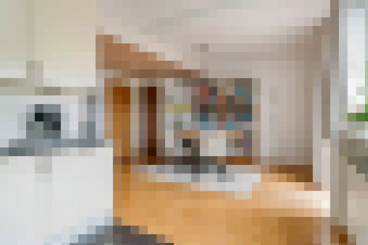 Drumptselaan 16 Tiel thumbnail 21