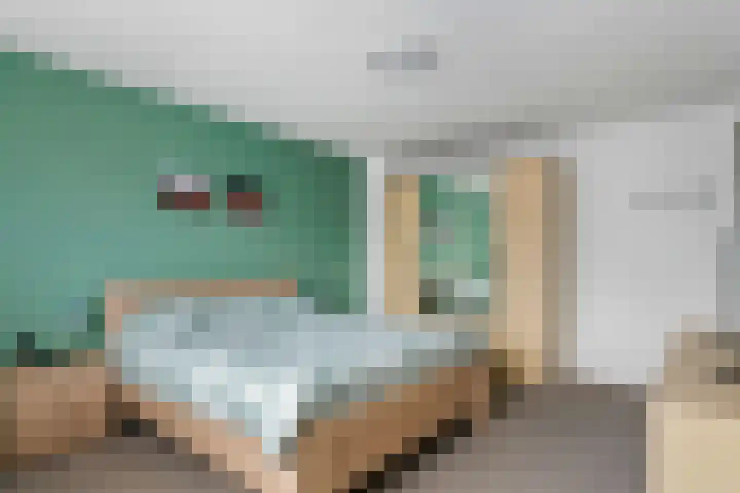 Drumptselaan 16 Tiel thumbnail 25