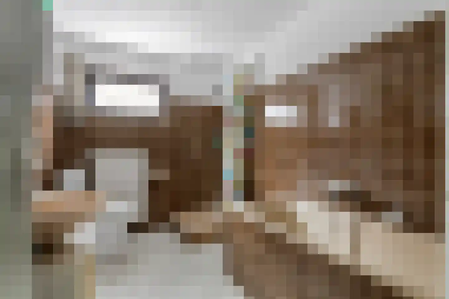 Drumptselaan 16 Tiel thumbnail 31