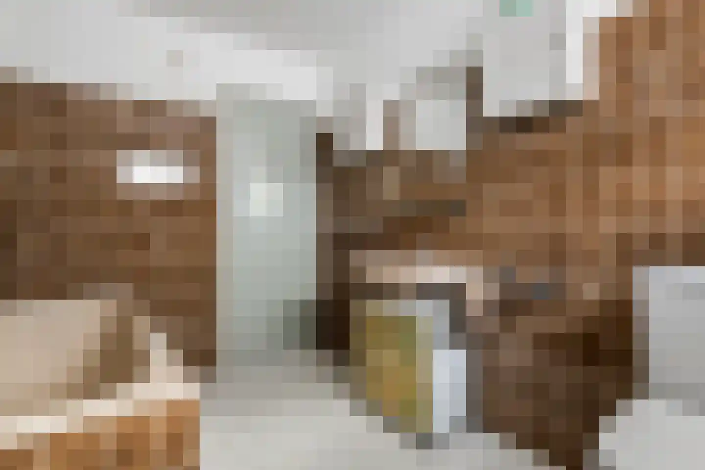 Drumptselaan 16 Tiel thumbnail 32