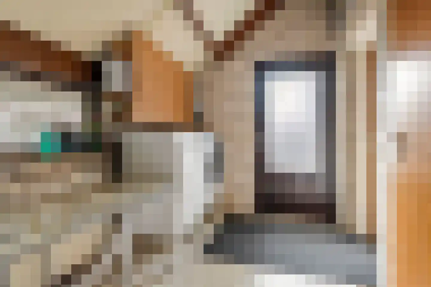 Drumptselaan 16 Tiel thumbnail 37