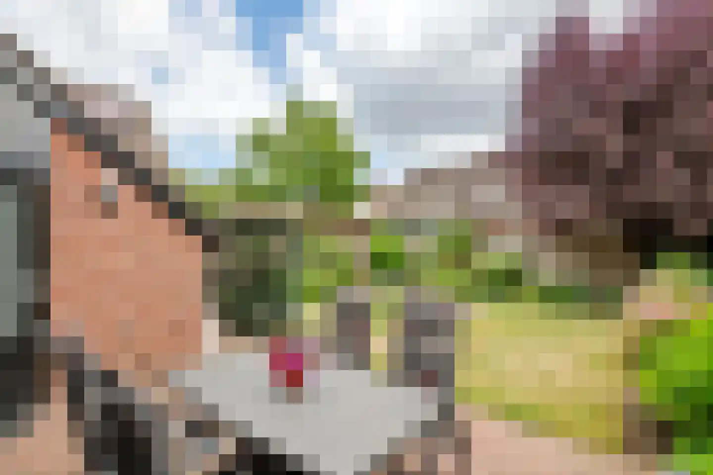 Drumptselaan 16 Tiel thumbnail 38