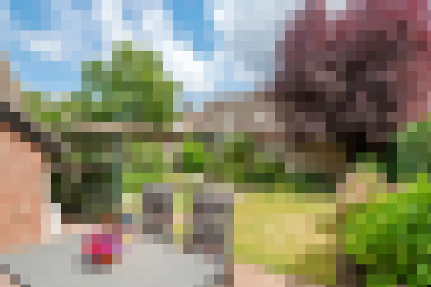 Drumptselaan 16 Tiel thumbnail 39