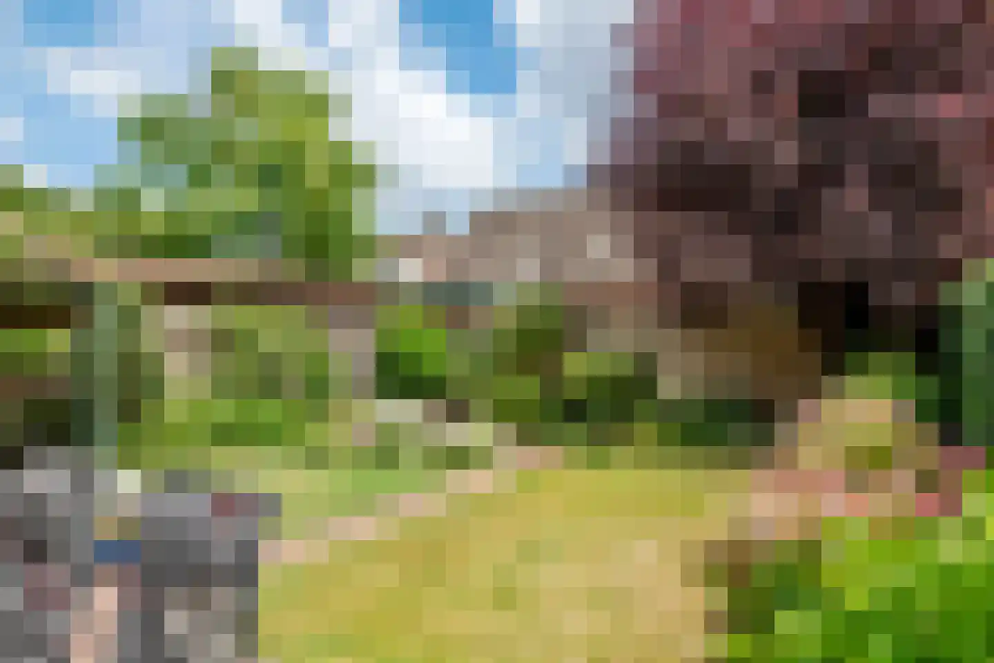 Drumptselaan 16 Tiel thumbnail 40
