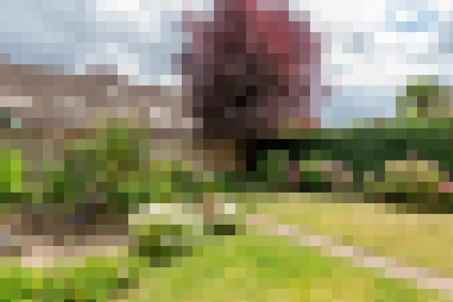 Drumptselaan 16 Tiel thumbnail 41