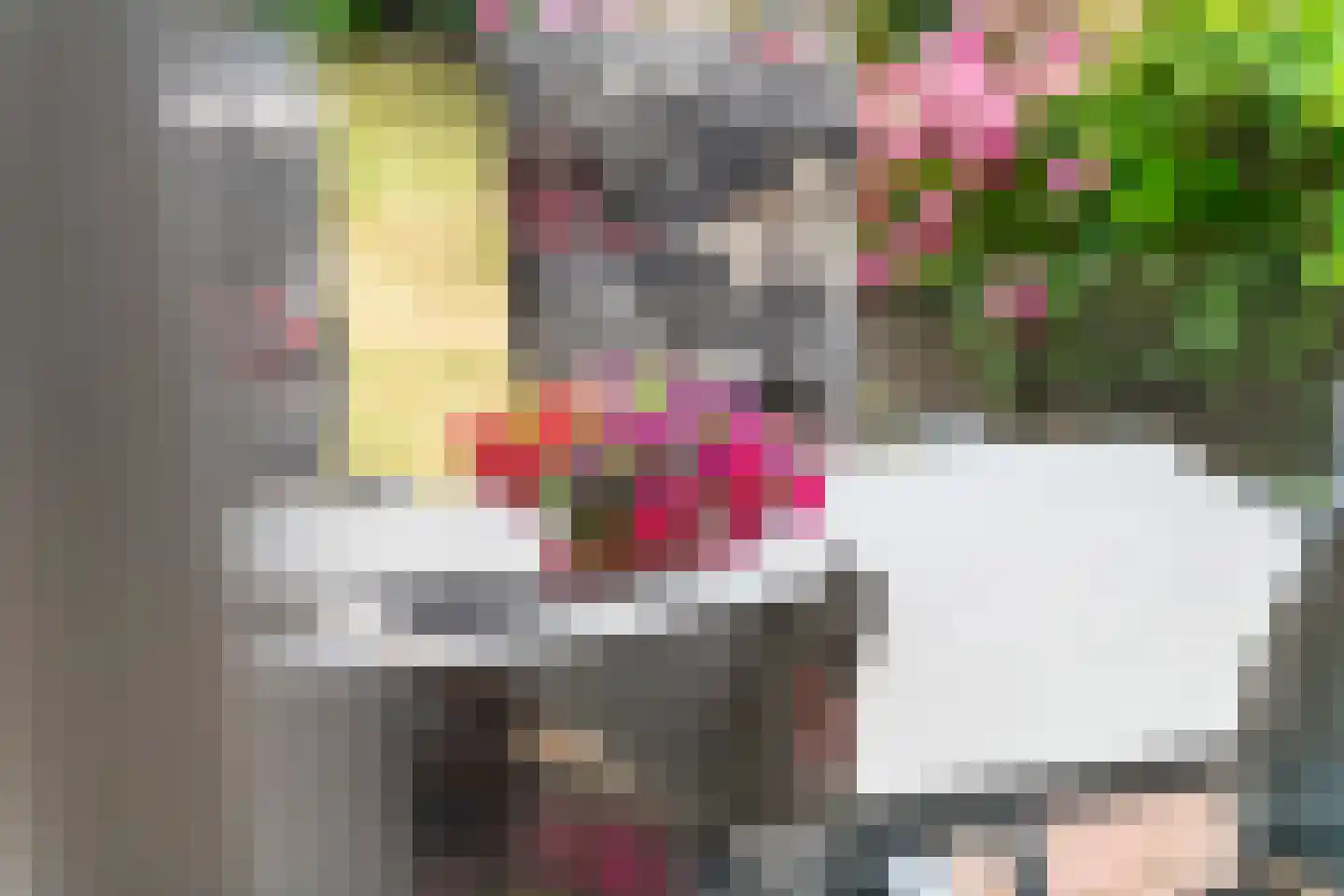 Drumptselaan 16 Tiel thumbnail 44