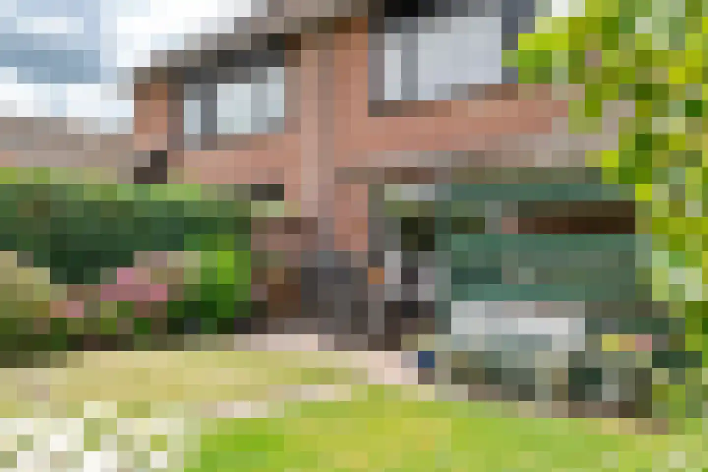 Drumptselaan 16 Tiel thumbnail 46