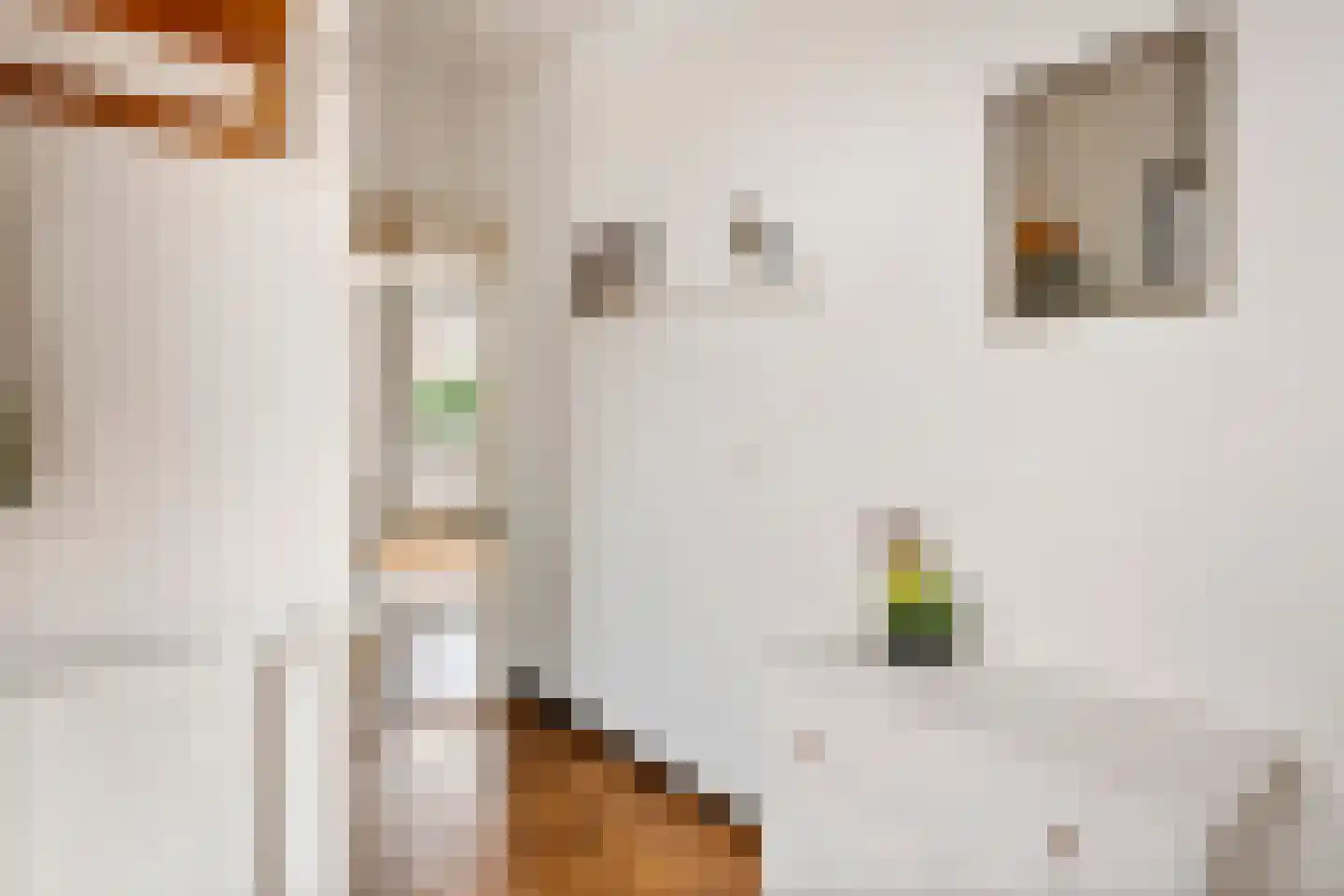 Drumptselaan 16 Tiel thumbnail 5