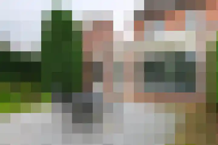 Drumptselaan 17 Tiel thumbnail 12