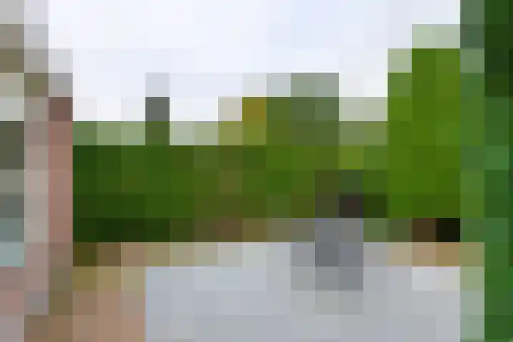 Drumptselaan 17 Tiel thumbnail 13
