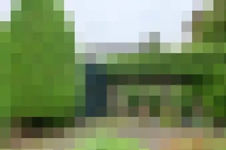 Drumptselaan 17 Tiel thumbnail 14