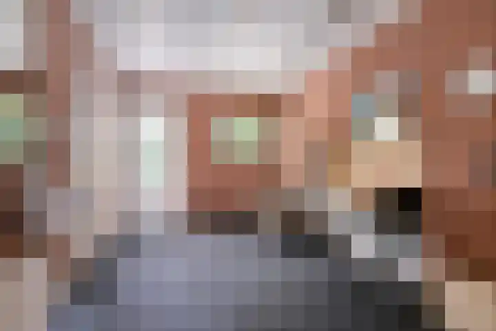 Drumptselaan 17 Tiel thumbnail 15