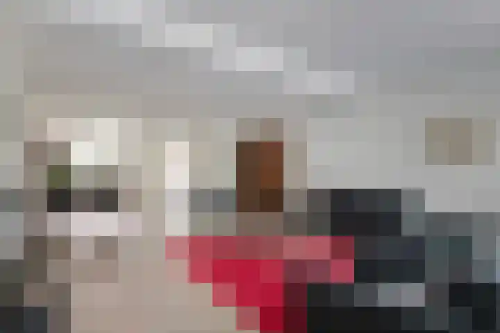 Drumptselaan 17 Tiel thumbnail 17