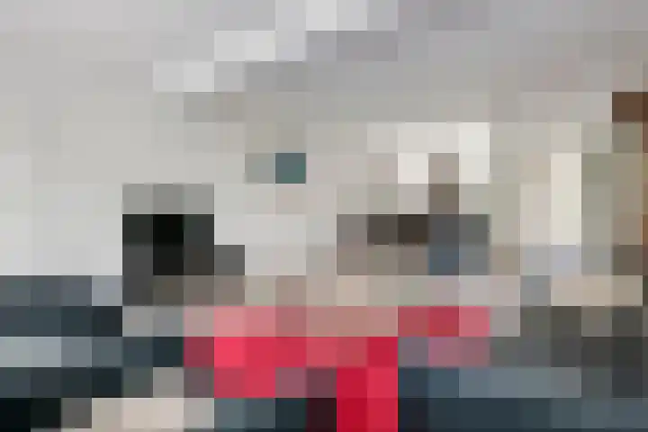 Drumptselaan 17 Tiel thumbnail 18