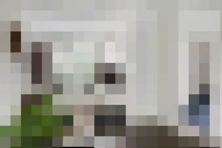 Drumptselaan 17 Tiel thumbnail 21