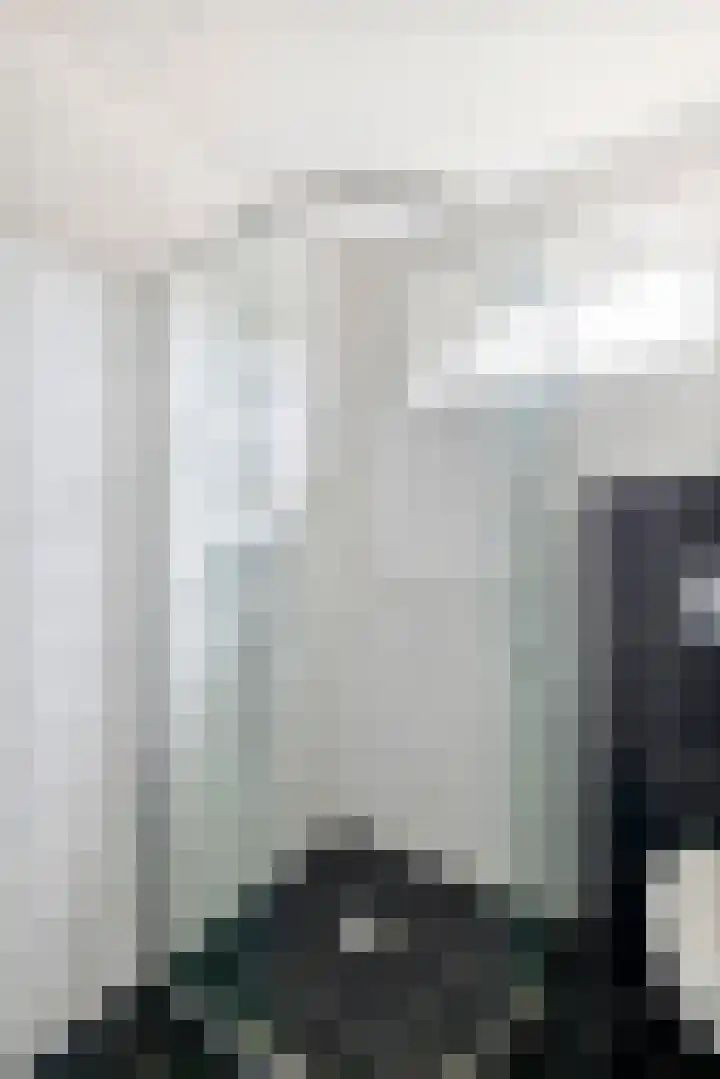 Drumptselaan 17 Tiel thumbnail 29